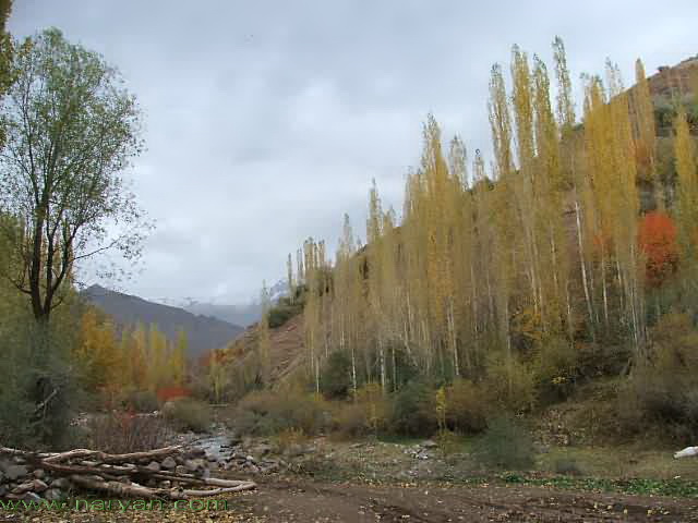 03-b.jpg