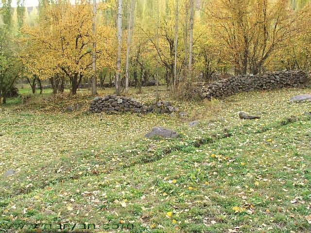 06-b.jpg