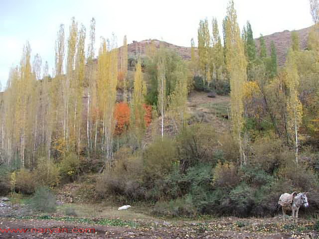10-b.jpg