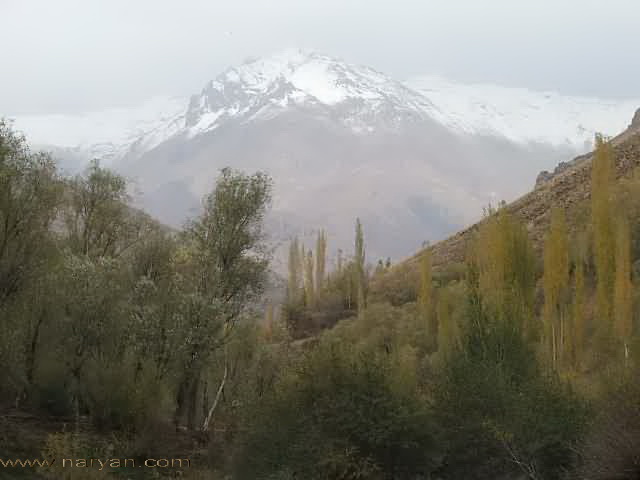 19-b.jpg