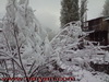 DSC00212_s.jpg