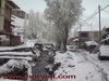 DSC00213_s.jpg