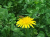 DSCF2656.jpg