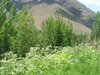 DSCF2669.jpg