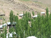DSCF2706.jpg