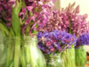 DSCF2906.jpg