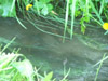 DSCF3028.jpg