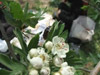 DSCF3117.jpg