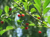 DSCF4707.jpg