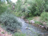 DSCF4876.jpg