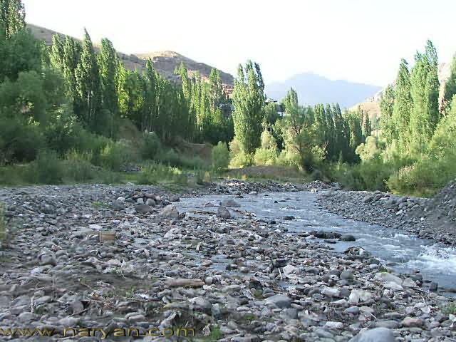 DSCF4895-b.jpg