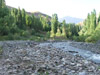 DSCF4895.jpg
