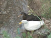 DSCF5005.jpg