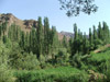 DSCF5683.jpg