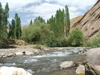 DSCF5988.jpg