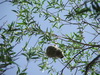 DSCF8420s.JPG