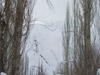 DSCF9643.jpg