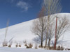 DSCF9736.jpg