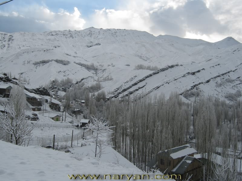 Naryan_900207_1(1).jpg