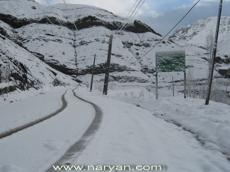 Naryan_900207_2.jpg