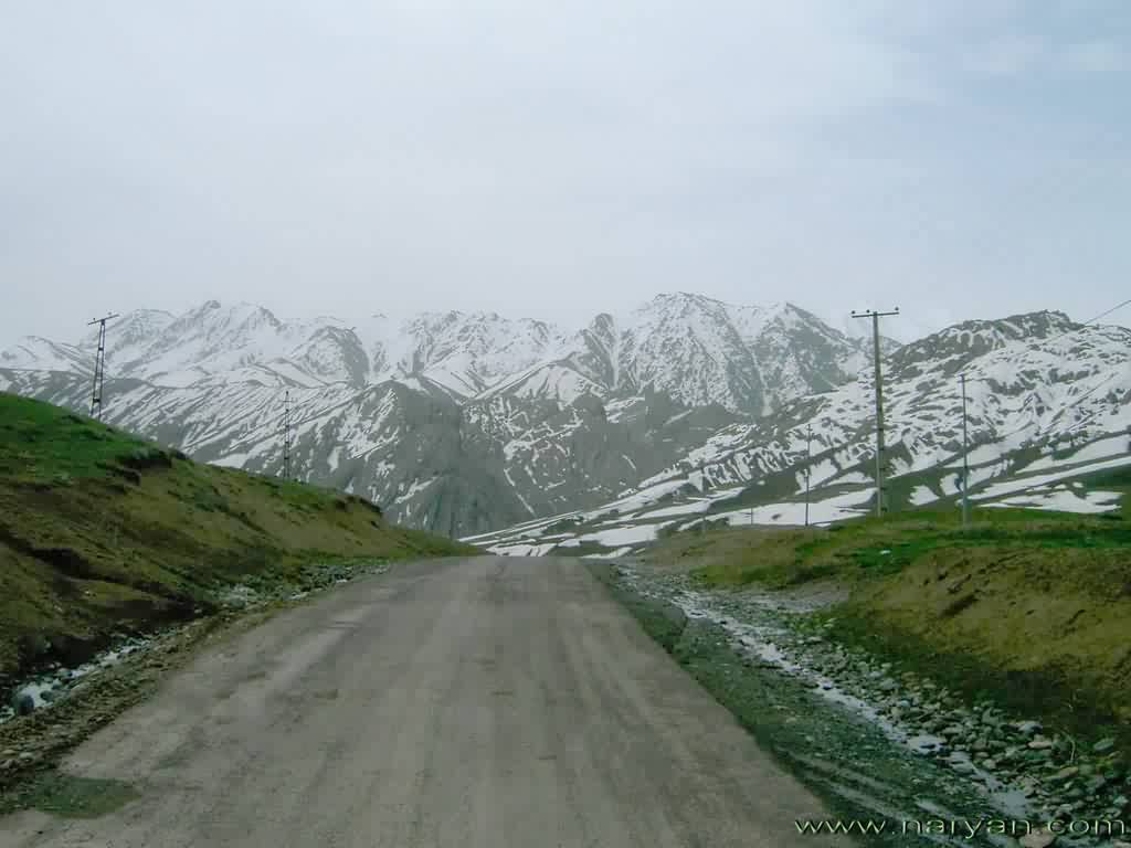PICT0021-b.jpg