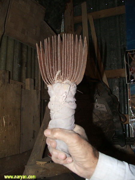 moze_L06.jpg