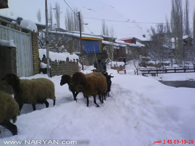 zemestan89_16.jpg